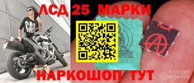 винт Донской